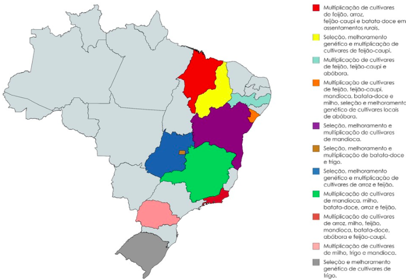 Mapa da presença do melhoramento genético de plantas feito pela BioFort