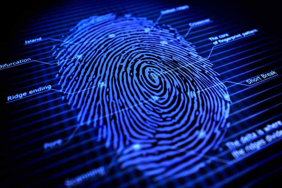 o-que-nos-faz-diferente-dna-fingerprinting-profiss-o-biotec