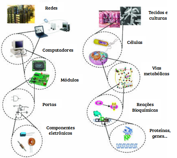 Comparações entre as partes de um sistema elétrico