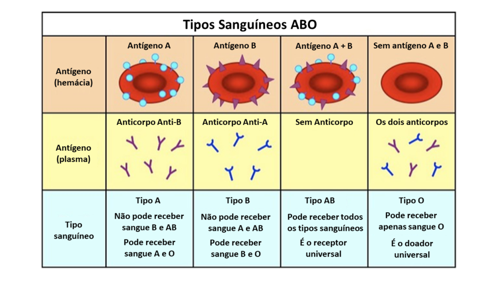 Tipos sanguíneos