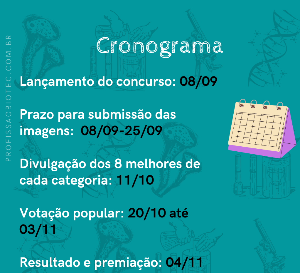 cronograma do concurso de arte científica