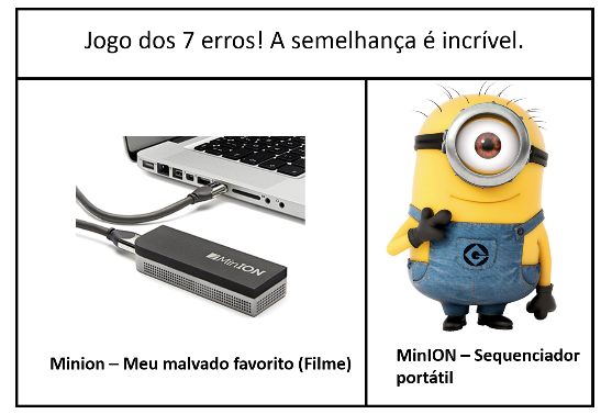 Minion e sequenciador portátil