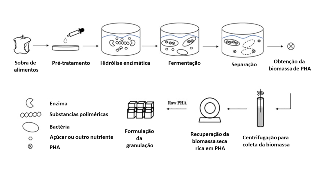 Esquema ilustrativo do processo biossíntese de PHA a partir de resíduos agroindustriais