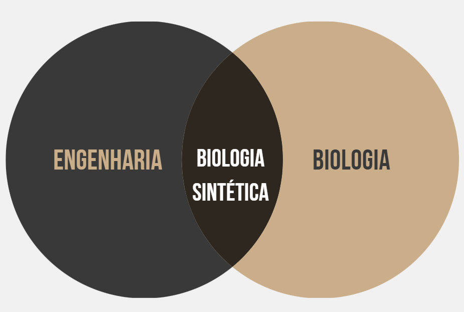 Engenharia e Biologia