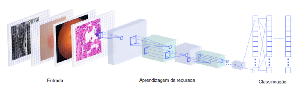 A imagem mostra que dados de imagens de radiologia e patologia oftalmológica e histopatológica foram usados como exemplo