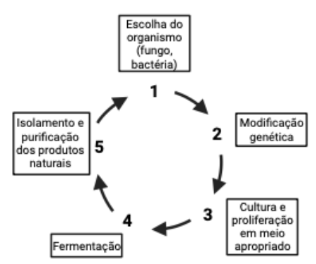 Círculo define o passo a passo para a produção de produtos a partir de células