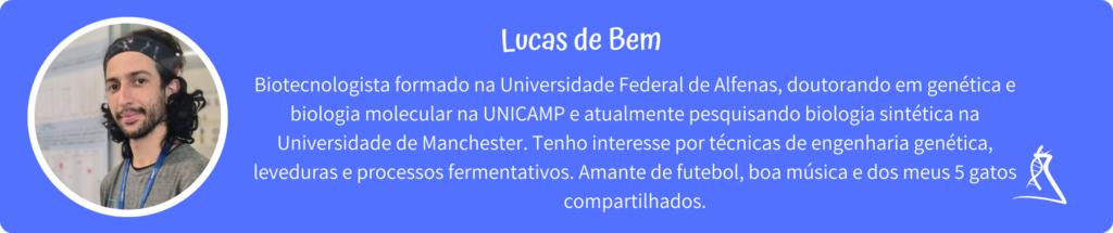 Perfil de Lucas de Bem