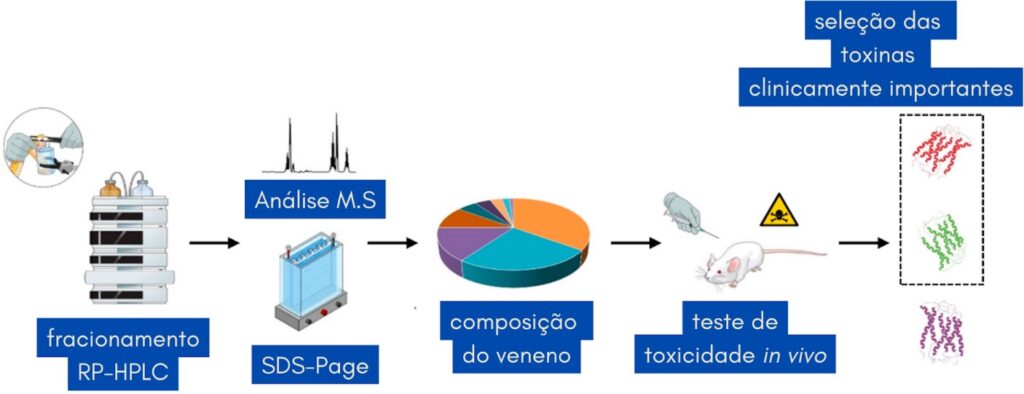 Técnicas presentes num estudo toxicovenômico